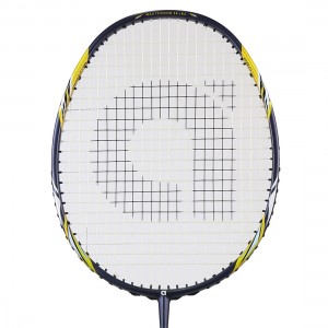 Apacs Blizzard Pro ZZ